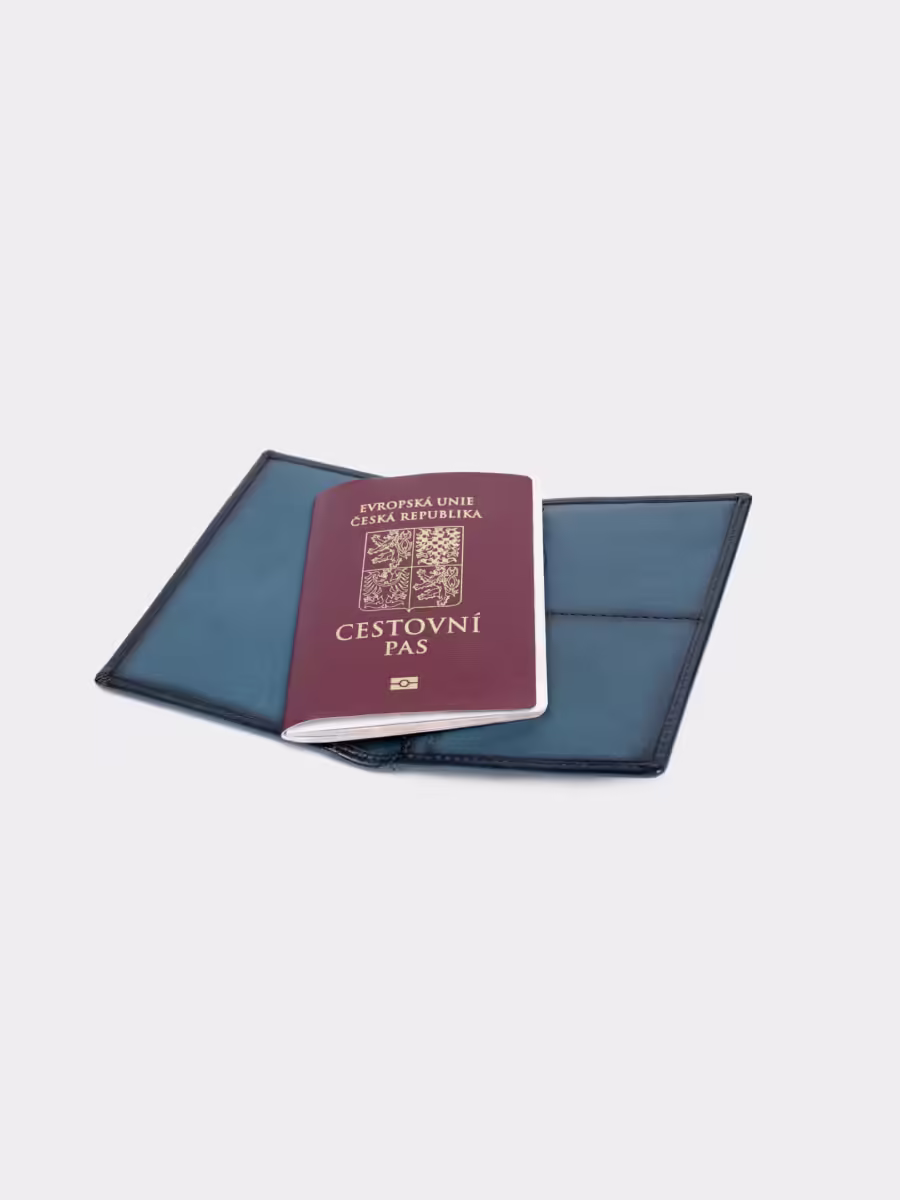 Wallstreet Tim PassportCover blue - Kožený obal na cestovní pas modrý - Obrázek 3